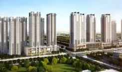 DỰ ÁN CÔNG TY CỔ PHẦN XÂY DỰNG & KD ĐỊA ỐC HOÀ BÌNH