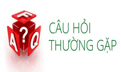 Tại Sao Chúng Ta Cần Phải Dùng Keo Dán Gạch Trong Thi Công